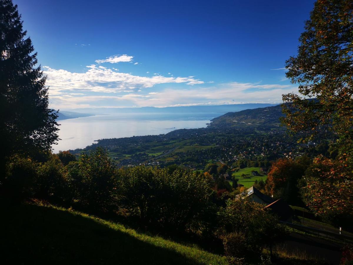 Elvira House Montreux, Un Lieu Magique !别墅 外观 照片